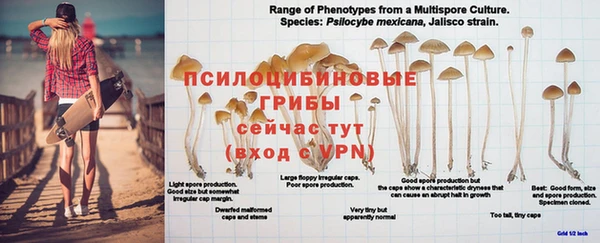 ALPHA PVP Армянск