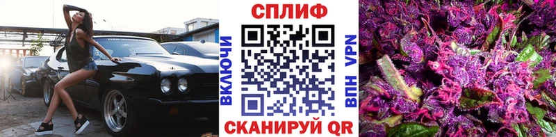 Шишки марихуана планчик  Купить где  Новоалександровск 